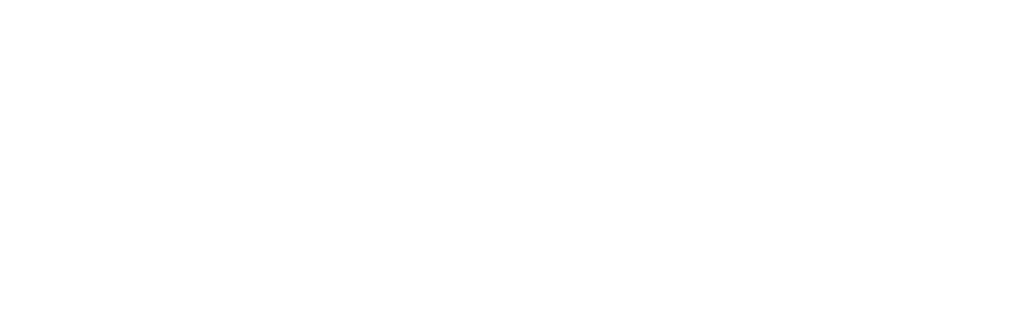 VLSI Monks Final White Logo